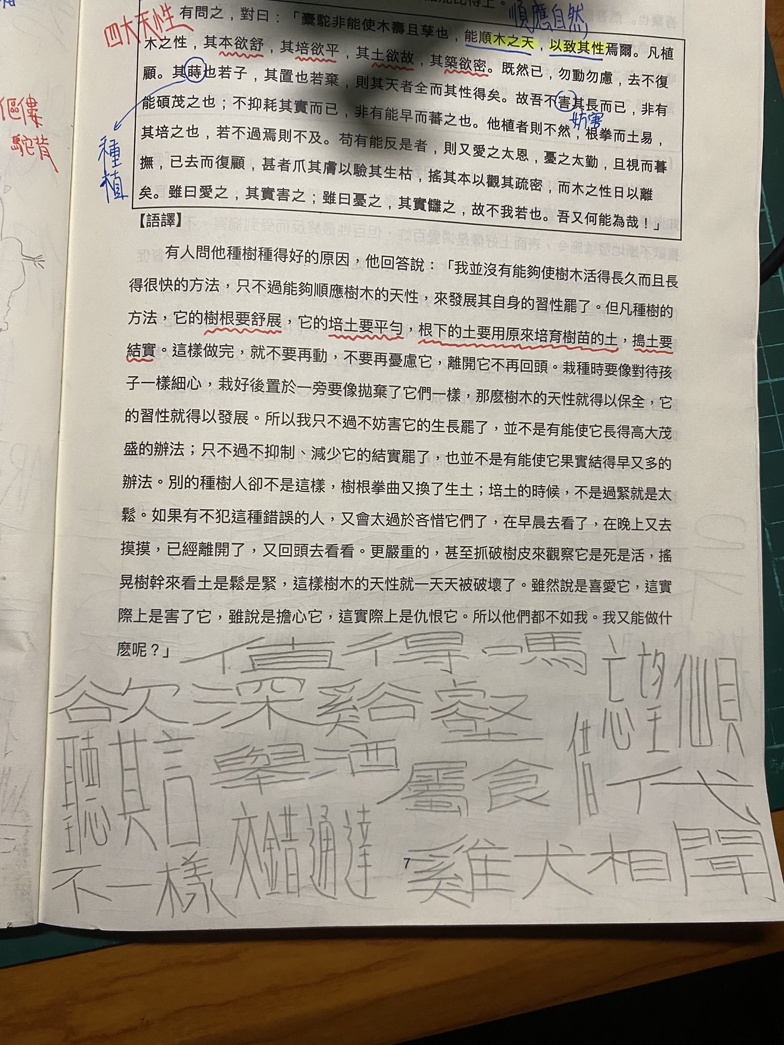 課本塗鴉系列｜IMG_2821